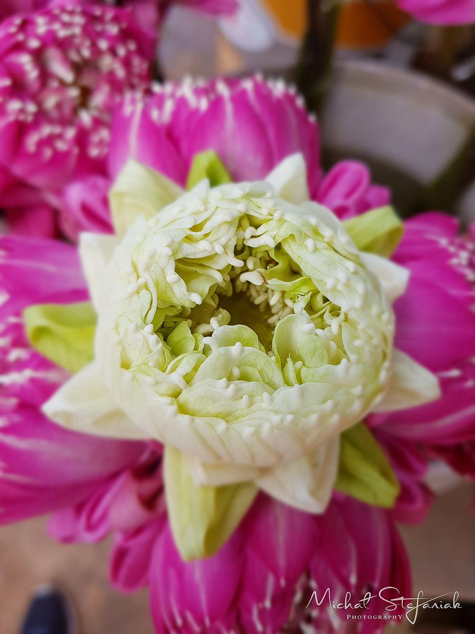  MG 1473 20191118 105007 S8